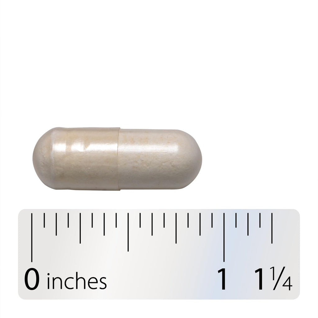 Probiotic 50 Billion Live Cultures 30 Capsules P404