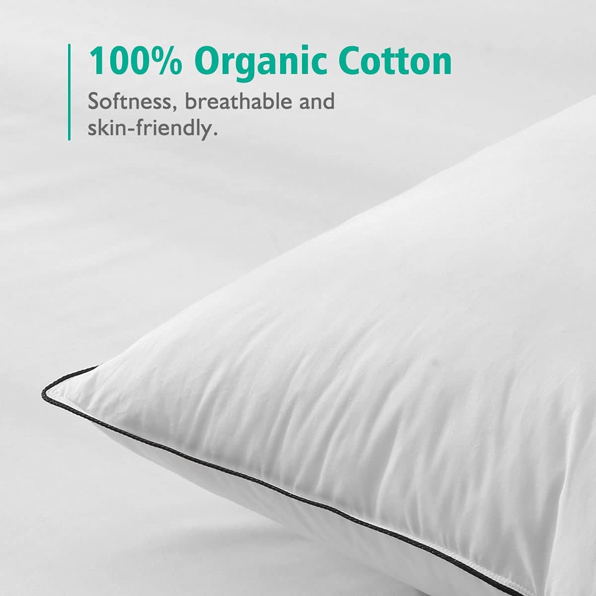 Organic Feather Down Pillows Set of 2 King Size 100% Cotton Cover Q745707