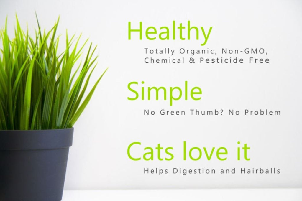 100% Organic Cat Grass Seed Mix, 4 Ounce P4696