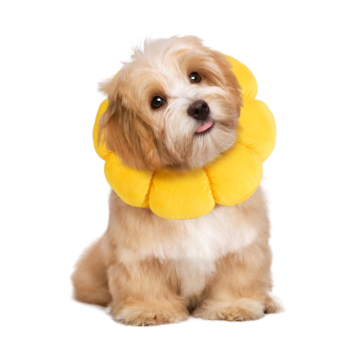Soft Dog Cone for Dogs and Cats, Adjustable Dog Collar Alternative I75849