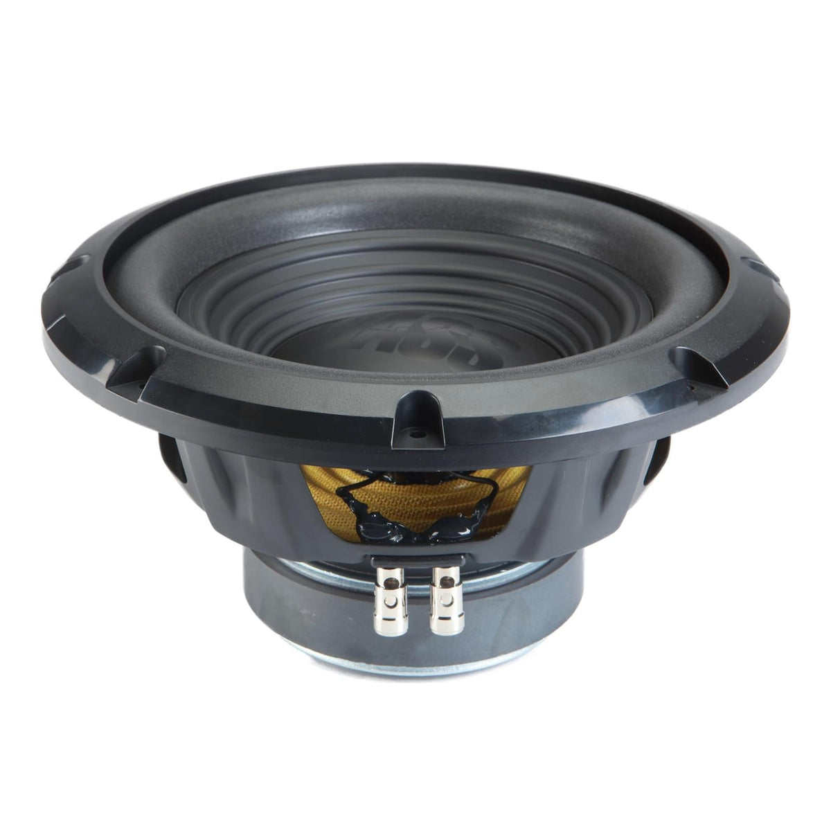 Dual 10 Loaded Sub Box with Amp E230