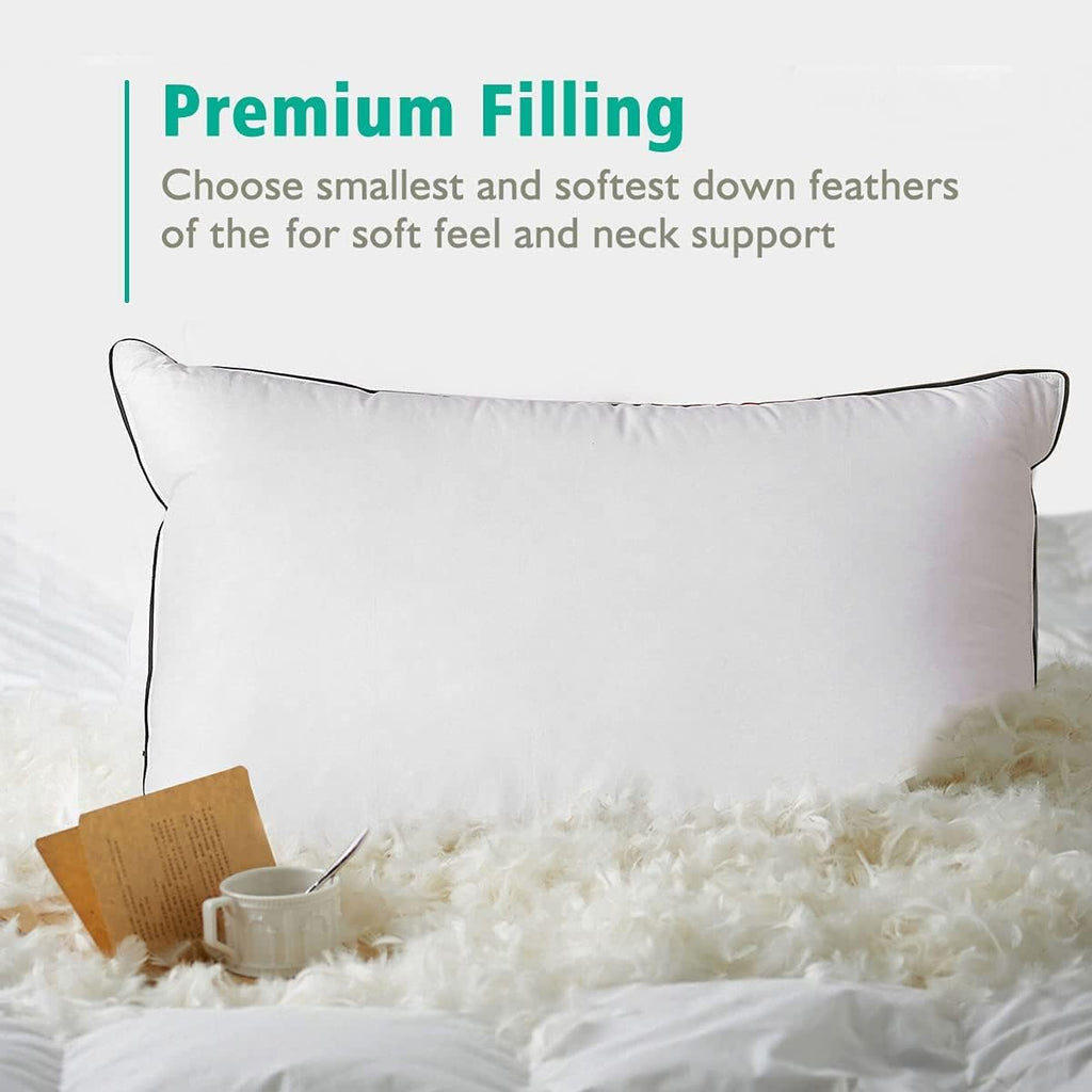 Organic Feather Down Pillows Set of 2 King Size 100% Cotton Cover Q745707