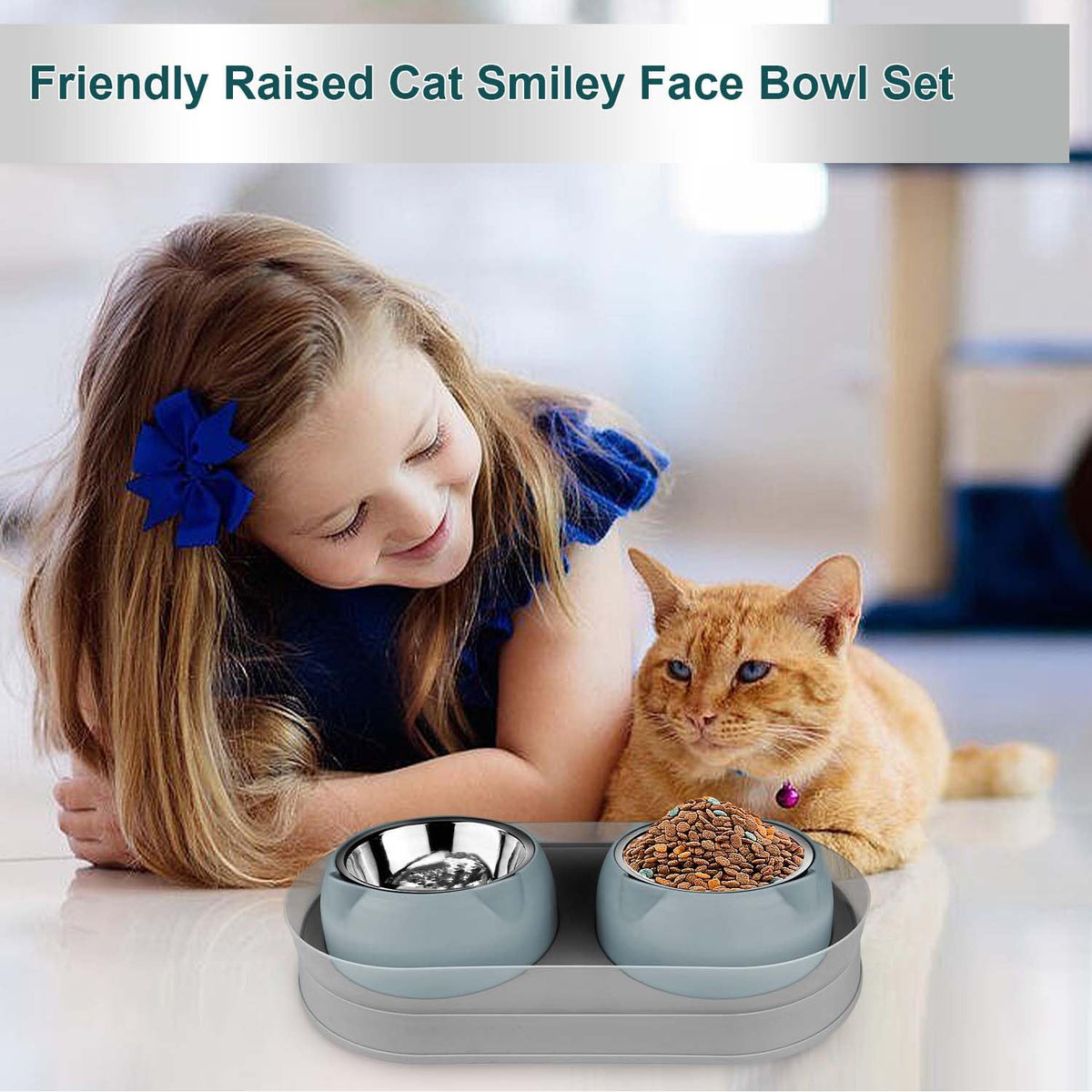 Tilted Stainless Steel Cat Food and Water Bowl Set N949