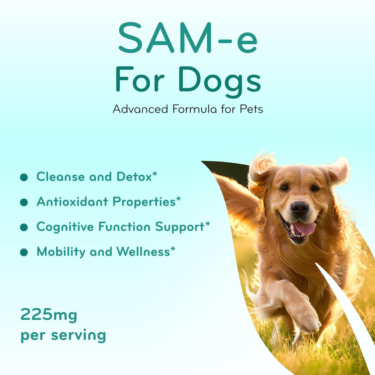 Chewable SAM-e Liver Support Supplement for Dogs 225mg X9250