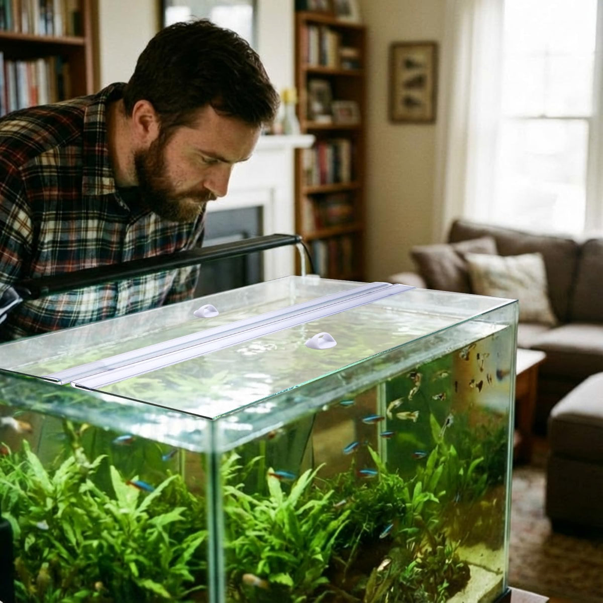 Aquarium Glass Canopy 19.33" x 9.65" x 0.12" J13413