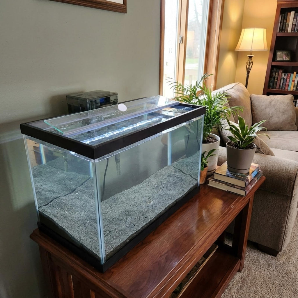 Aquarium Glass Canopy 19.33" x 9.65" x 0.12" J13413