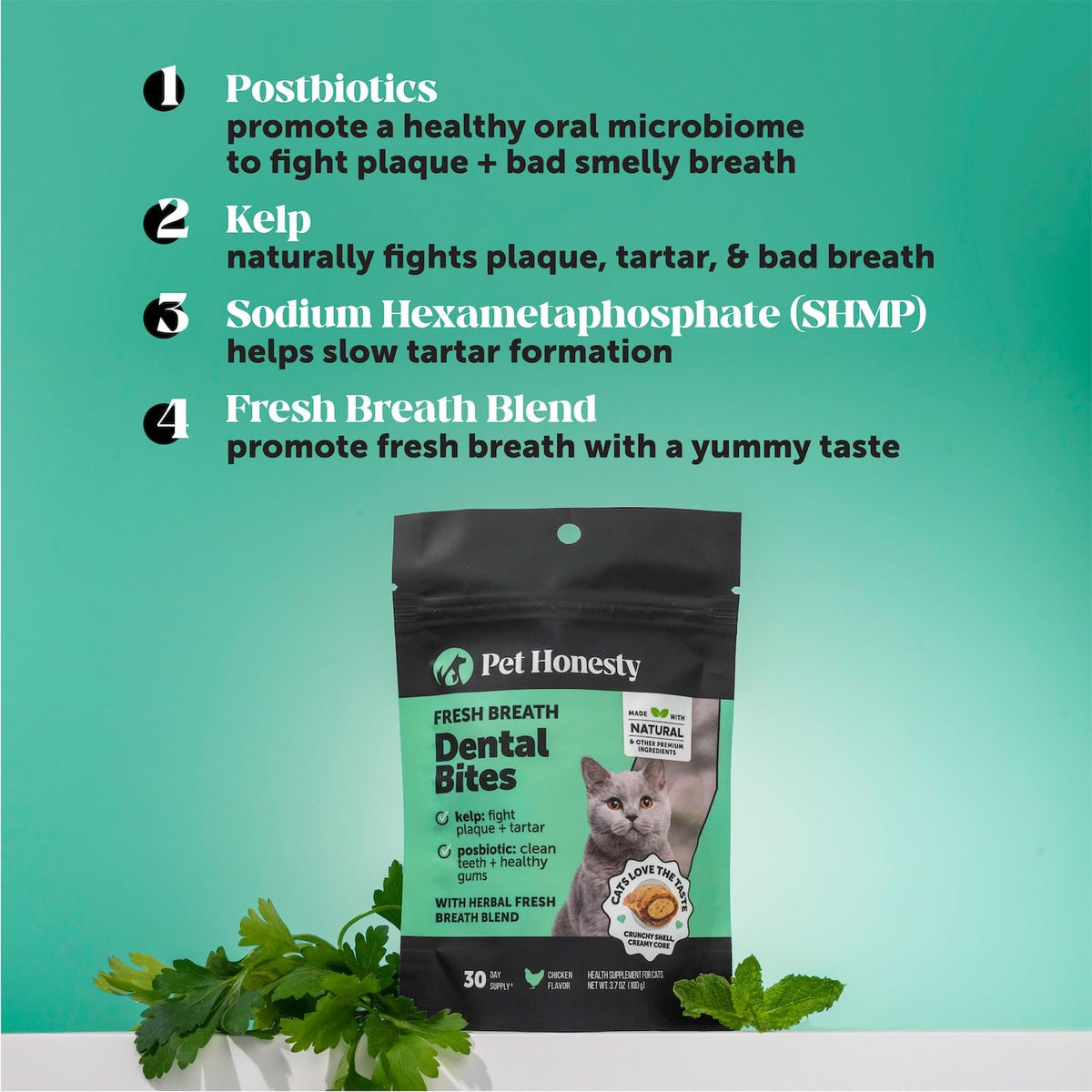 Cat Teeth Cleaning Bites N5234