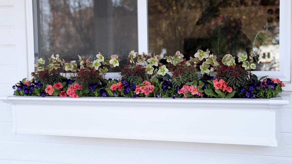 Organic Concentrated Plant Food D19671