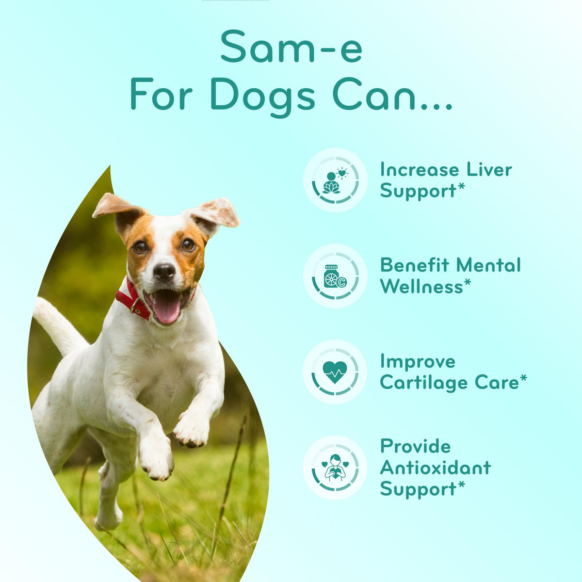 Chewable SAM-e Liver Support Supplement for Dogs 225mg X9250