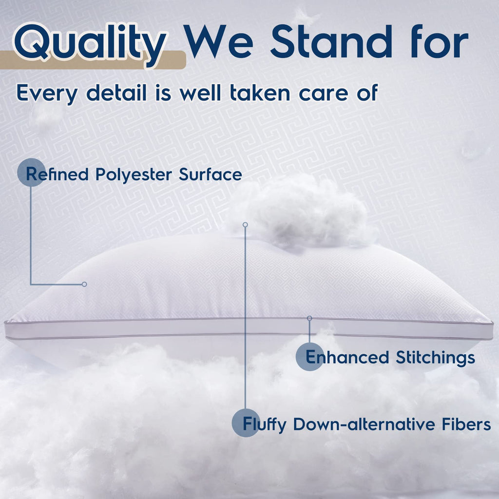 King Size White Pillows Set of 2 G171370