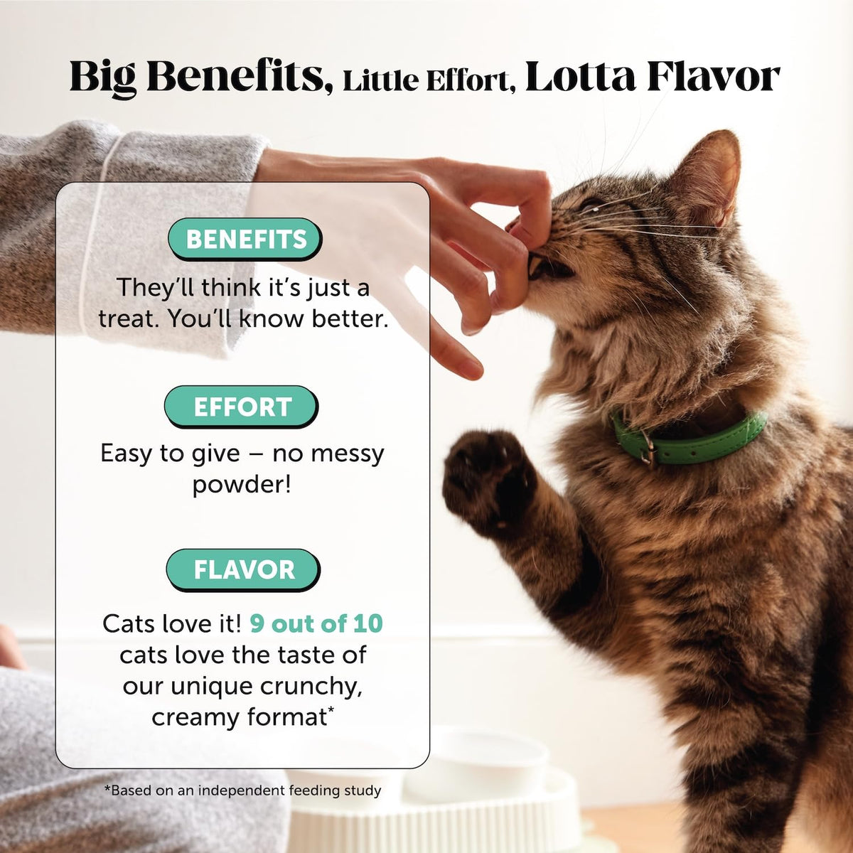 Cat Teeth Cleaning Bites N5234