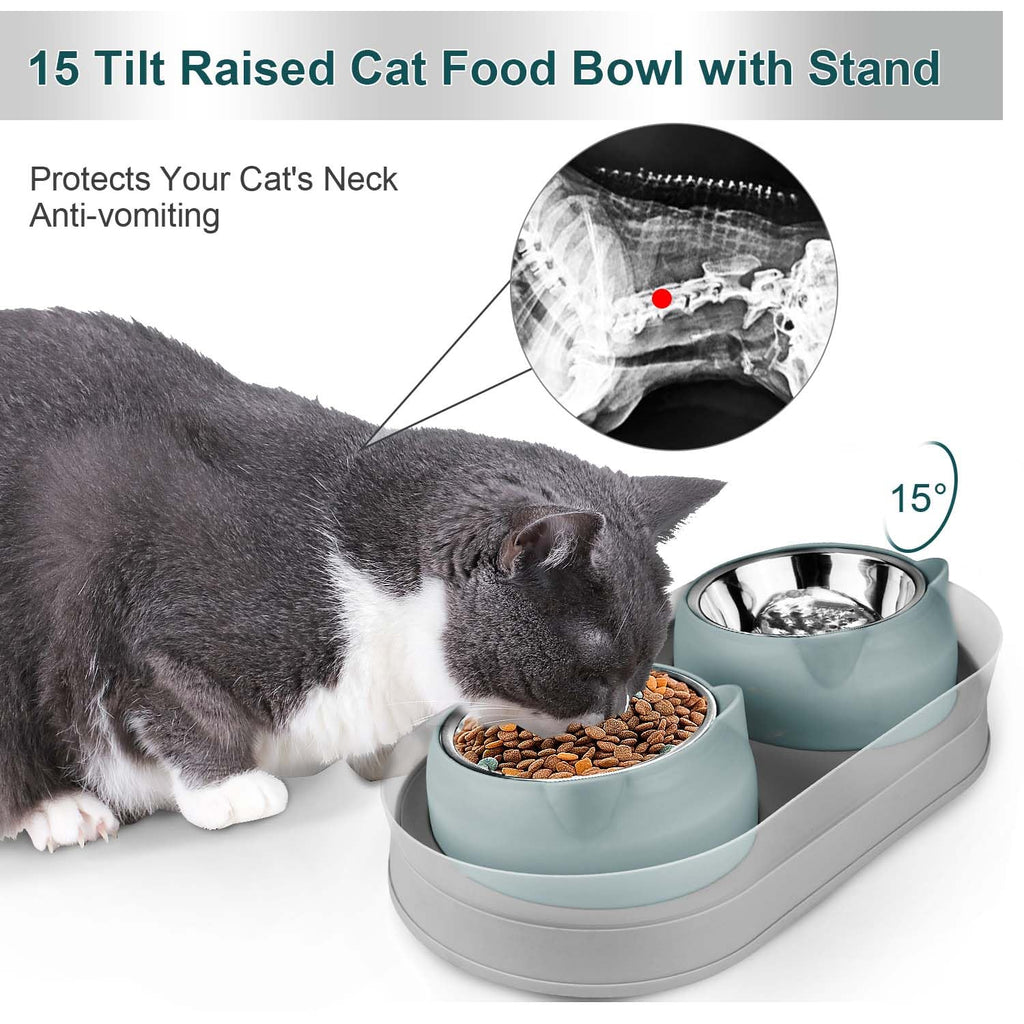 Tilted Stainless Steel Cat Food and Water Bowl Set N949