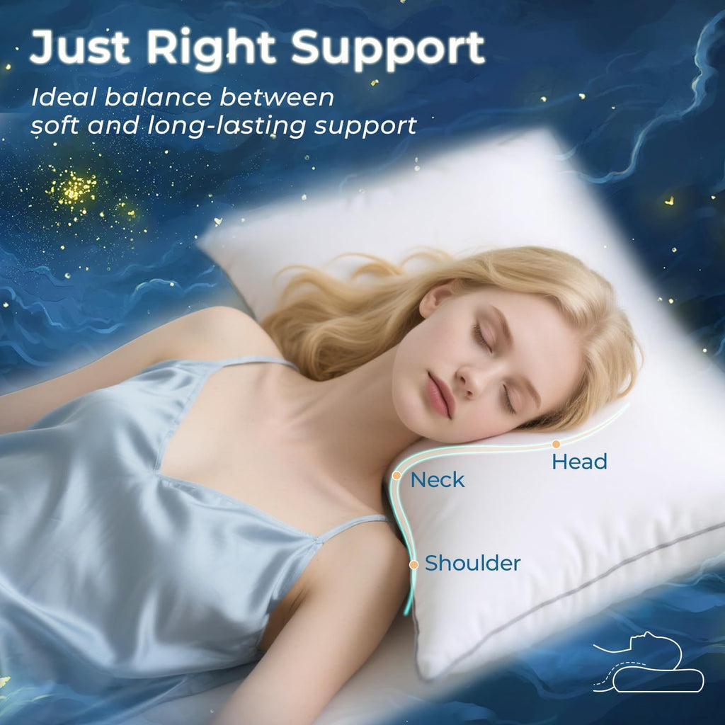 King Size Down Alternative Pillows Set of 2 E84346