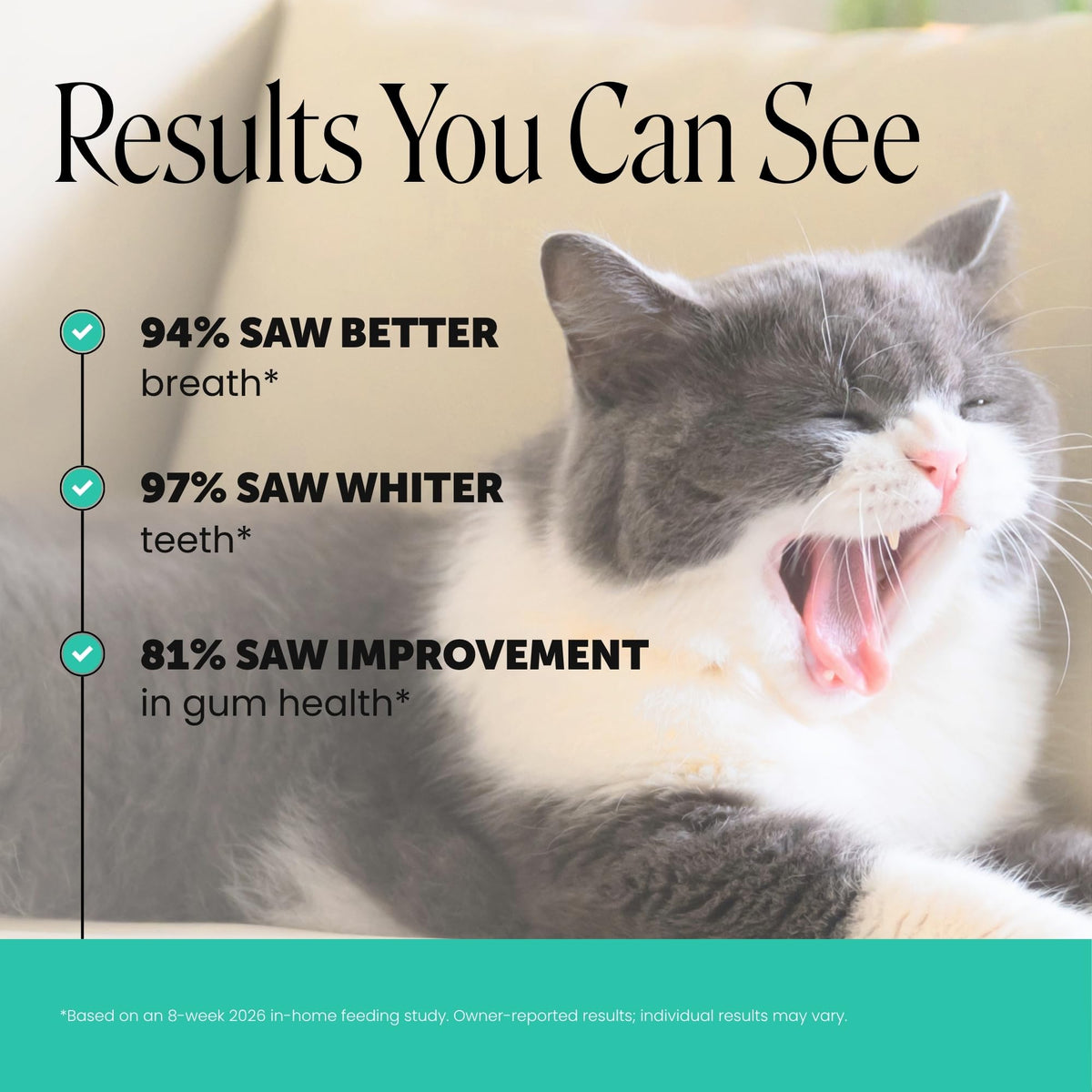 Cat Teeth Cleaning Bites N5234
