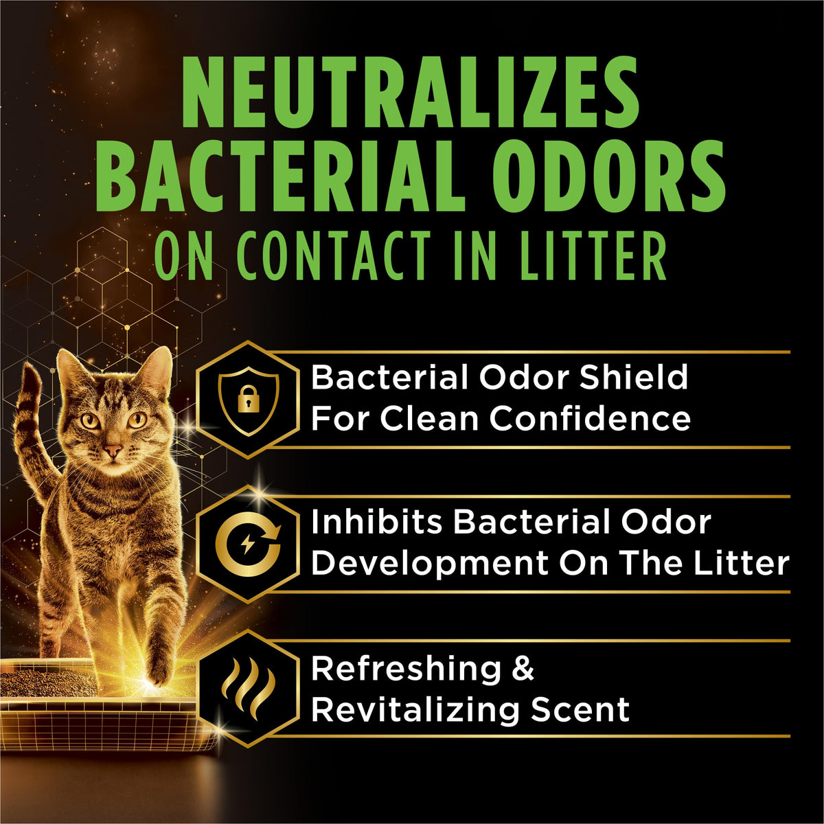 22 lb Cat Litter T6111