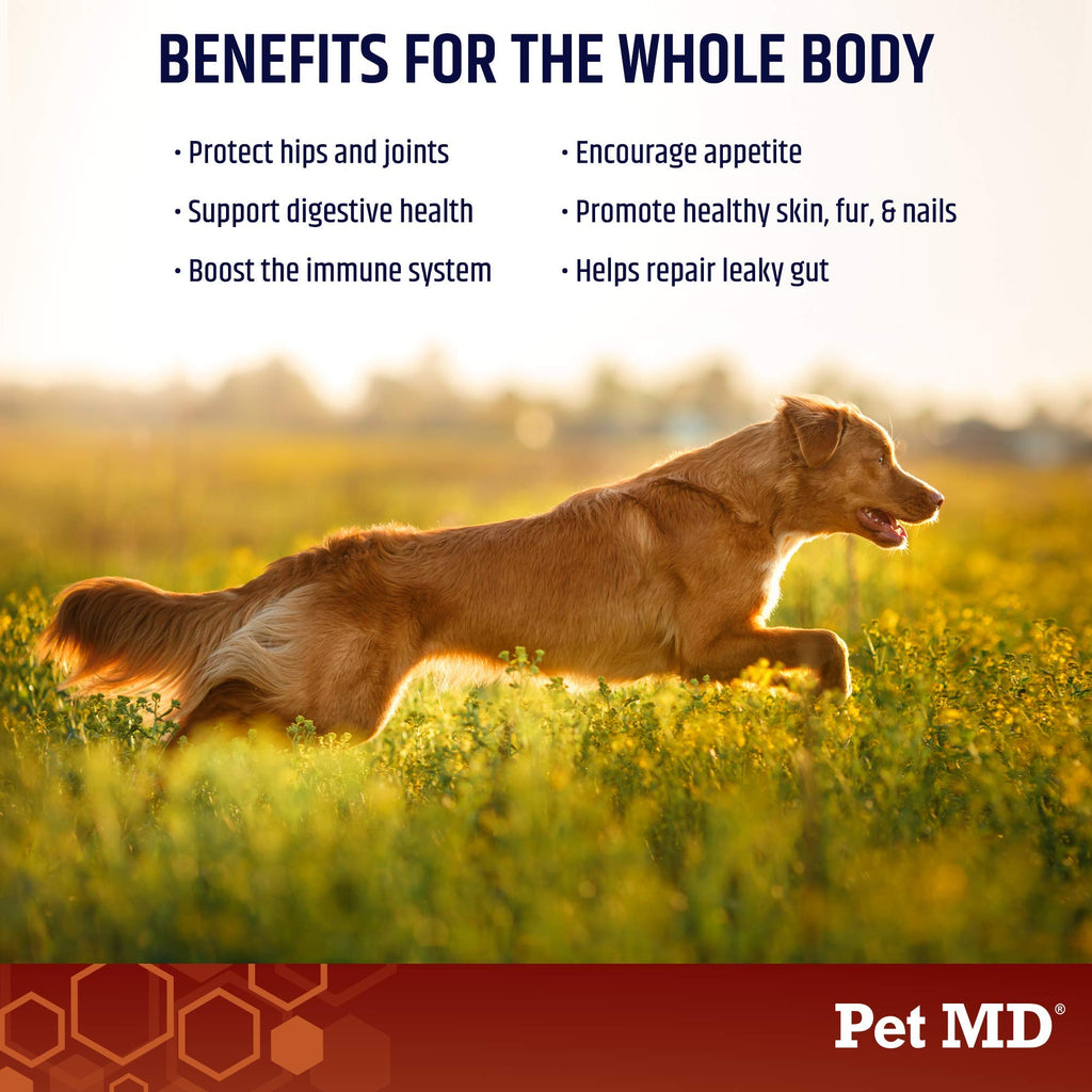 Bone Broth Powder Supplement & Pill Paste X5724