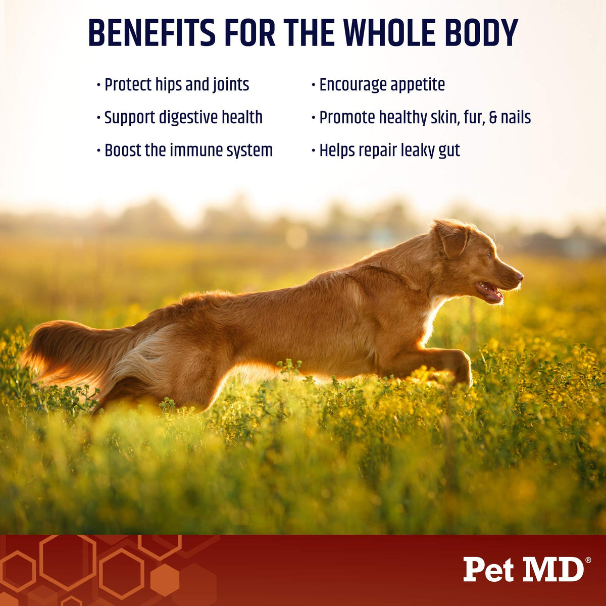 Bone Broth Powder Supplement & Pill Paste X5724