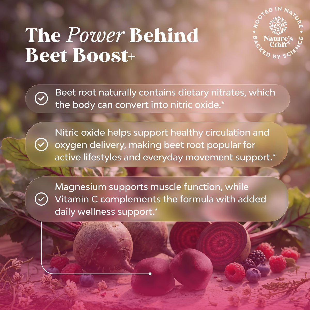 Beet Root Gummies with Vitamin C 60 Ct Z55846