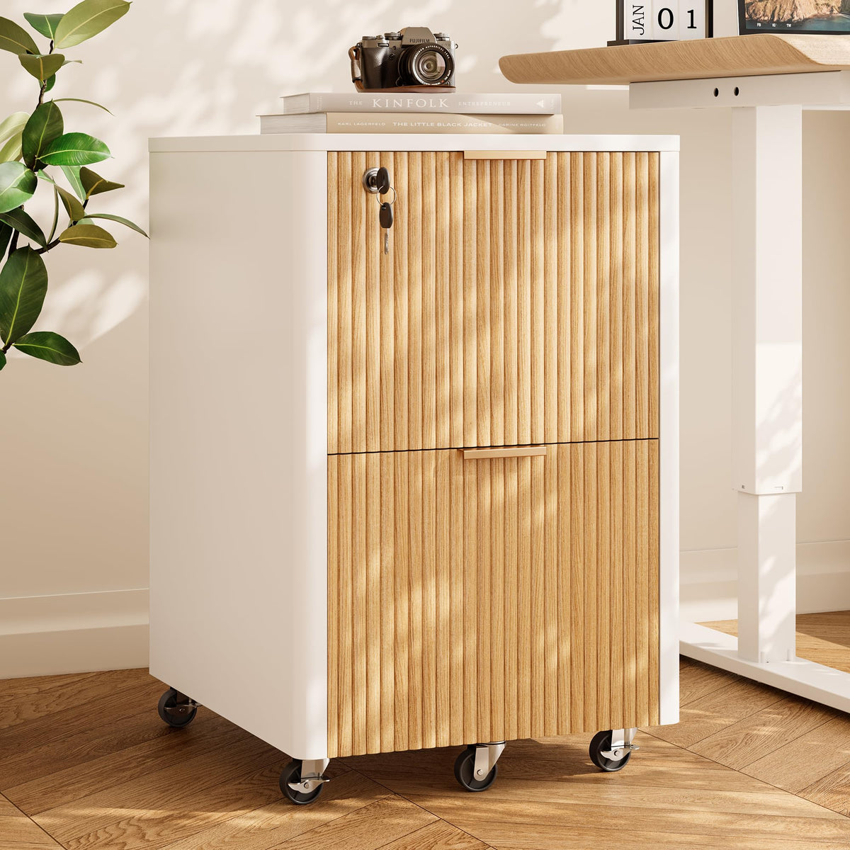 2 Drawer Wooden Mobile File Cabinet with Lock P6247