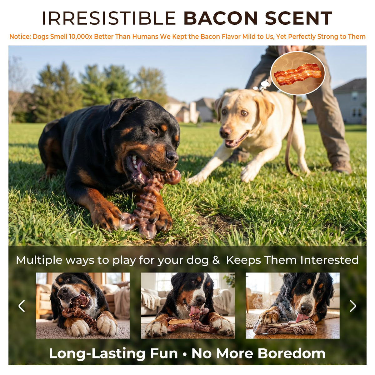 3-Pack Dog Chew Toys Q546282