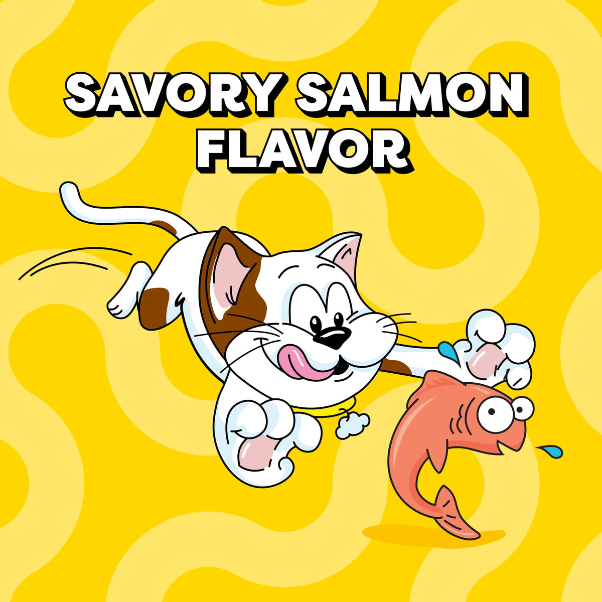 Salmon Crunchy & Soft Cat Treats 2.5 oz 12 Pack R860176