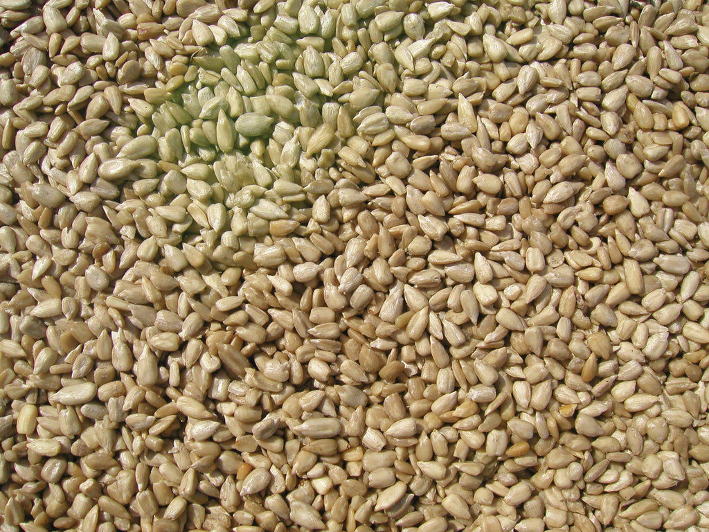 Sunflower Meats Bird Seed 20-Pound V2829