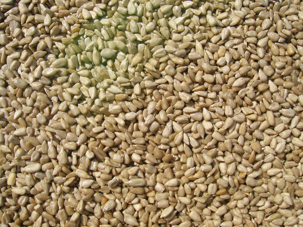 Sunflower Meats Bird Seed 20-Pound V2829