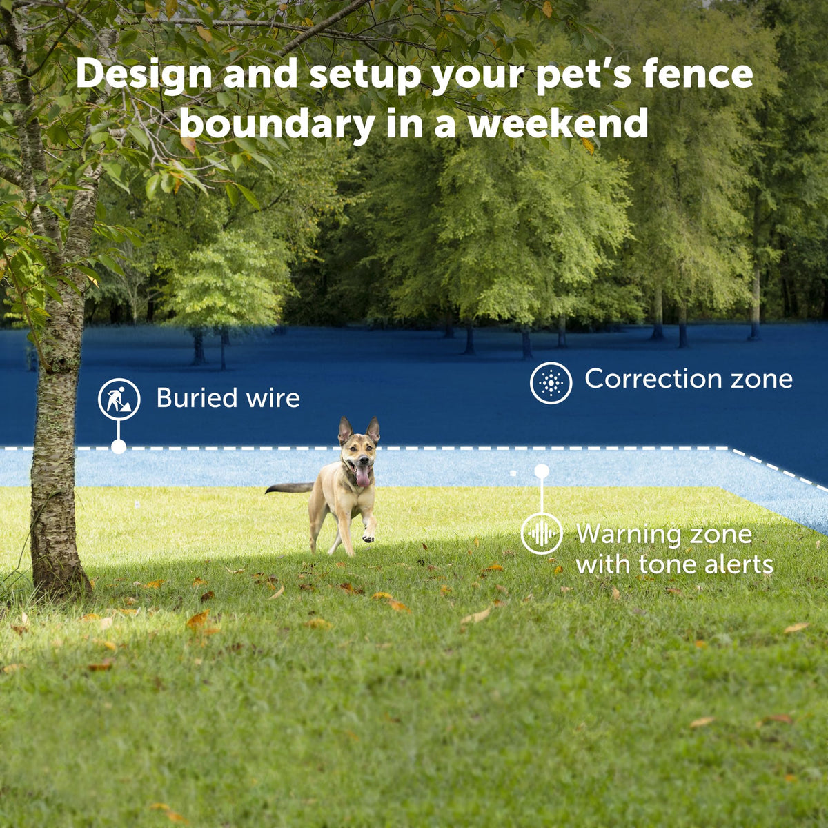 In-Ground Fence for 2 Dogs A22414
